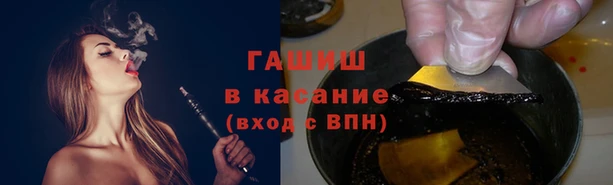 стафф Арсеньев