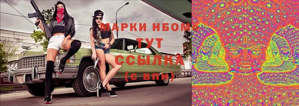 шишки Армянск